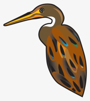 Avian - Water Bird