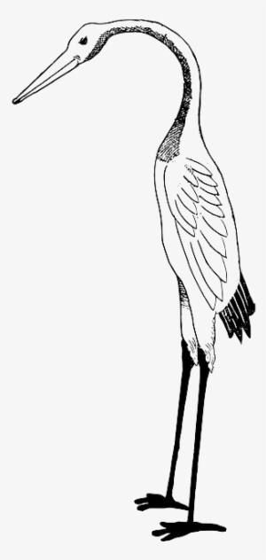 Bird, Crane, Stork - Stork Clipart White And Black