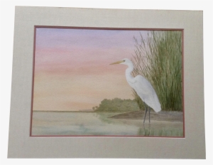 Paul Patterson, White Crane Bird At Edge Of Swamp Watercolor