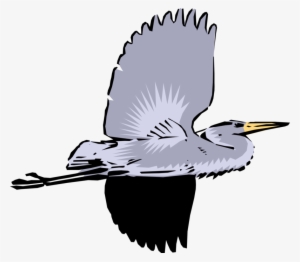 Vector Illustration Of Great Blue Heron Crane Bird - Heron