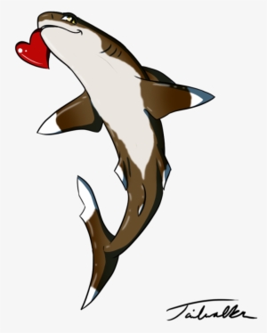 Shark Jumping Out Of Water Drawing - Oceanic White Tip Shark Art