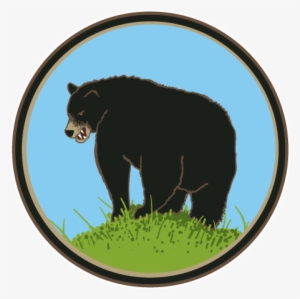 Black Bear's Butt - American Black Bear