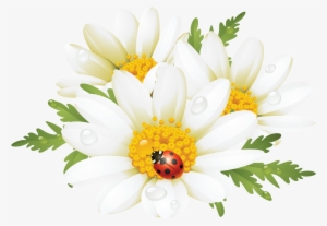 Flower Art, Flower Canvas, Flower Images, Flower Prints, - Ladybug Daisy Throw Blanket