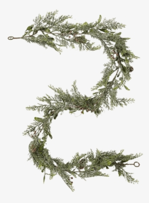 50 For Holiday Garland & Pvc - Pond Pine