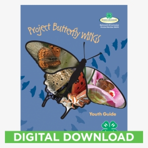 Butterfly Wings Curriculum Youth Guide Digital Download - Brush-footed Butterfly