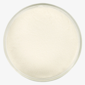 Whipped Cream Stabilizer - Circle