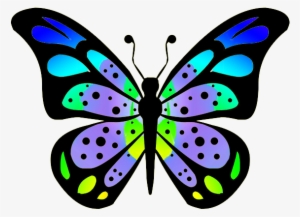 Colouful Clipart Butterfly Wing - Butterfly Drawings With Color