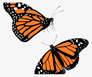 Jpg Library Download Latest Cliparts Page Dumielauxepices - Transparent Background Monarch Butterfly Clipart