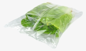 A Proven Supplier Meeting All Levels Of Need - Modified Atmosphere Packaging Of Lettuce