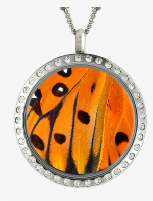 Butterfly Wing Speckled In Locket - Best Friend Gifts Teen Christmas Gifts Charm Locket