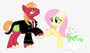 Pony Wedding Commission Big Mac X Flutt - My Little Pony Big Macintosh X Fluttershy