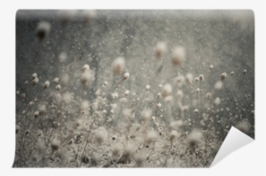 Snow Falling And Covering The Ground Wall Mural • Pixers® - Vulnerability Strength