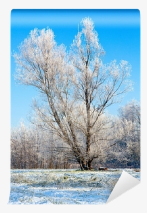 Winter Lonely Tree Wall Mural - Winter