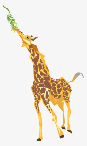 Download - Giraffe Eating Leaves Clipart
