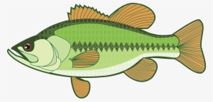 Walleye Vector Bass - Largemouth Bass Clipart