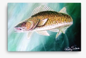 Walleye Pike By Ricky Trione - Art