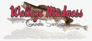 Walleye Madness Guide Service, Green Bay Walleye Guide, - Calligraphy
