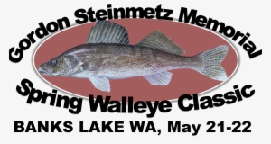 Banks Lake Walleye Tournament - Fish Fabric - Walleye On Slate - Blue Custom Fabric