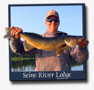When Fishing For Walleye On Our System, You Need To - Jigging