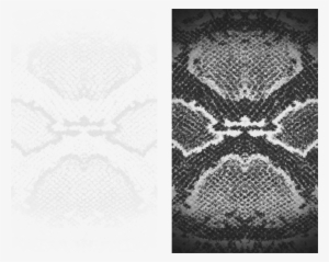 Snake Scales Png - Snake Scale Pattern Transparent