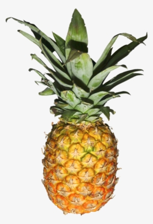 Transparent Pineapple - Source - - Transparent Pineapple
