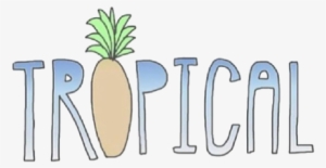 Transparent Pineapple - Tropical Stickers