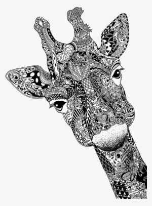 Image - Black And White Patterned Animals