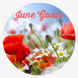 Goals For June - Designart 'lovely Red Poppies On Sky Background' Photographic