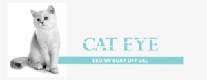 Cre8tion Cat Eye Flyer
