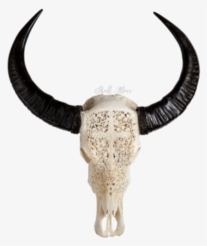 carved buffalo skull - decorative skull head cow