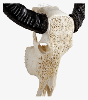 Carved Buffalo Skull - Skull