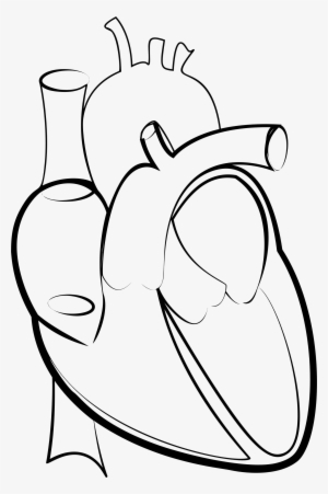 This Free Icons Png Design Of Heart Line Art