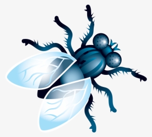 Fly Clipart Png