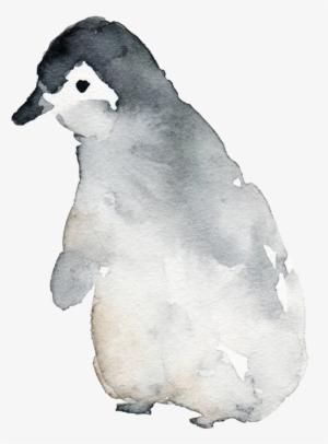 Lake Tahoe Photos - Penguin