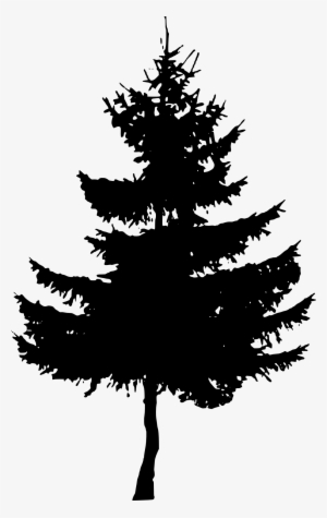 Free Download - Pine Tree Silhouette Png