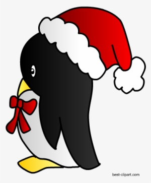 Penguin In Christmas Hat Clip Art - Christmas Day