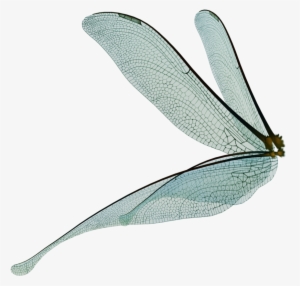 Dragonfly Fairy Wings Render By Frozenstocks On - Fairy Wings Png Transparent