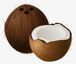 Coconuts Png Clip Art - Coconut Clipart