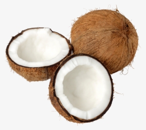 Coconut Png
