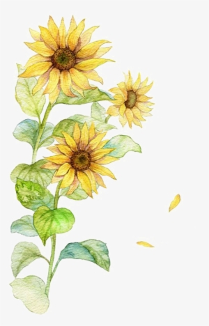 Pin By 경남 황 On 해바라기00 - Yellow Flower Watercolor Art