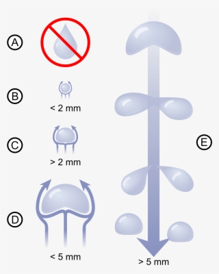 Enter Image Description Here - Raindrop Is Spherical