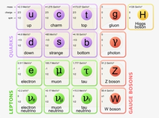 Standard Model Physics