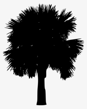Free Png Palm Tree Silhouette Png Images Transparent - Portable Network Graphics