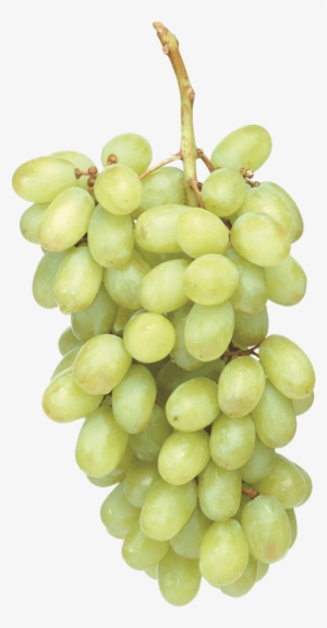Free Png Green Grapes Png Images Transparent - Grapes Png