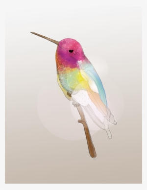 That Hummingbird Life - Illustration