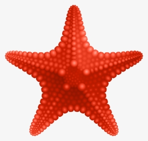 Starfish Png