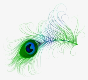 Peacock Feather Clip Art Png - Peacock Leaf Hd Png