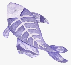 X-rayfish Fish Watercolor Illustrations - Illustration