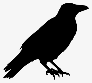 Animal Bird Raven Crow Transparent Image - Edgar Allan Poe Symbol