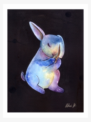 Crystal Bunny - Domestic Rabbit
